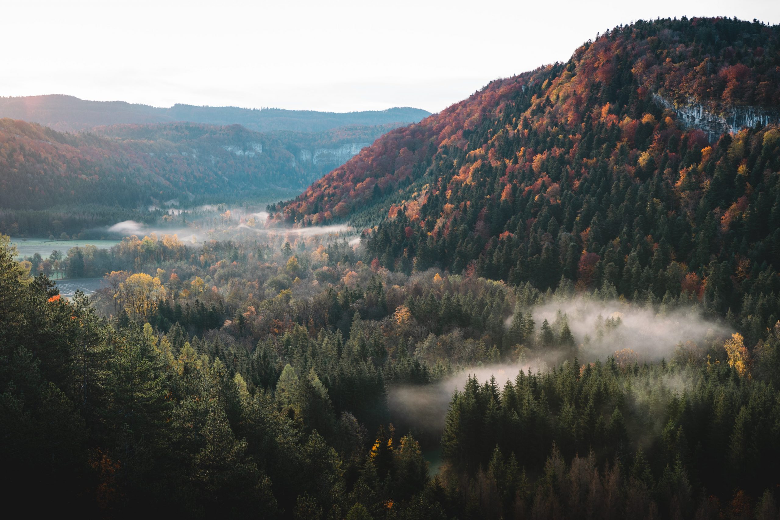 Gen Se La Nudit Et La Nature De La Chute Sola